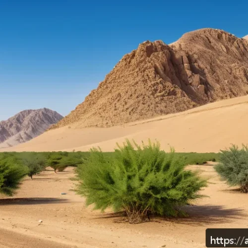 Home 31 생태계 복원 기술과 생태계 회복력 - A vibrant desert landscape undergoing ecological restoration, featuring a variety of native drought-...