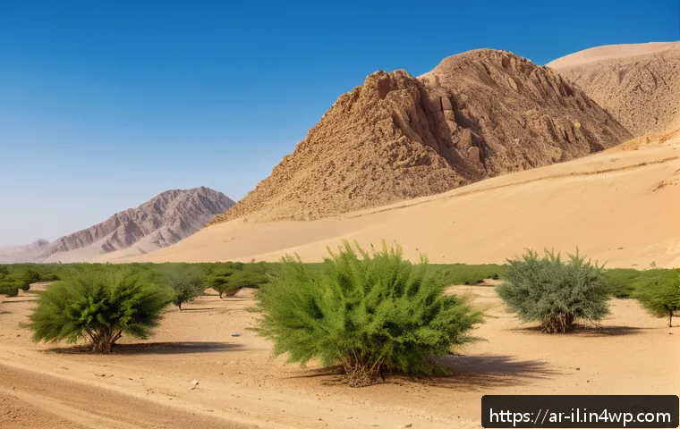 생태계 복원 기술과 생태계 회복력 - A vibrant desert landscape undergoing ecological restoration, featuring a variety of native drought-...