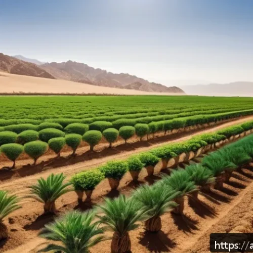 Home 17 생태계 복원 기술과 물 관리 - A vibrant agricultural landscape in an arid Middle Eastern region showcasing conservation agricultur...